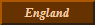 Luttrells in England 1066 to present